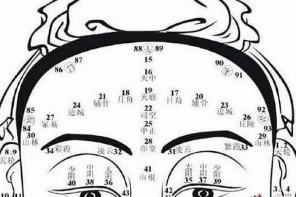 有关印堂面相算命图解