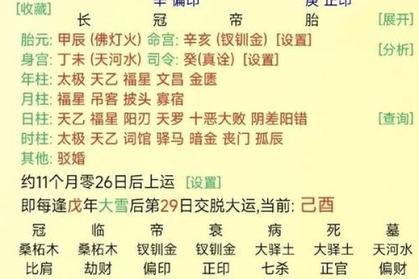 属猪男八字