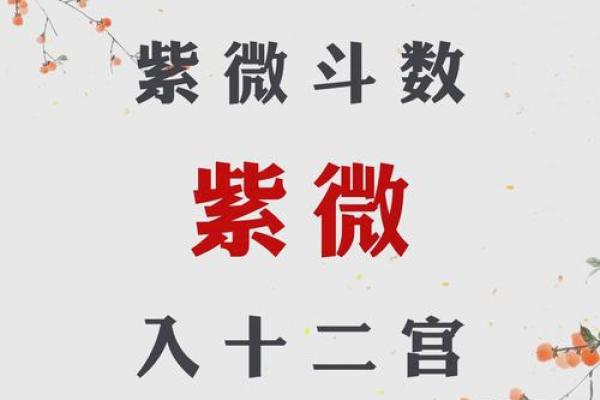 紫微斗数科星有哪些,紫微斗数十二星