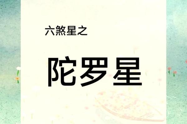 火星陀螺紫薇斗数