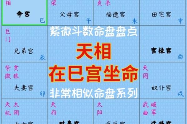 紫薇斗数流年对冲宫