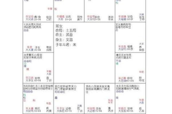 紫薇斗数流年对冲宫