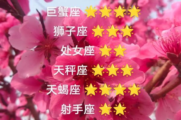 看今天星座的运势如何