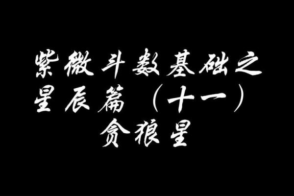 紫微斗数－贪狼星