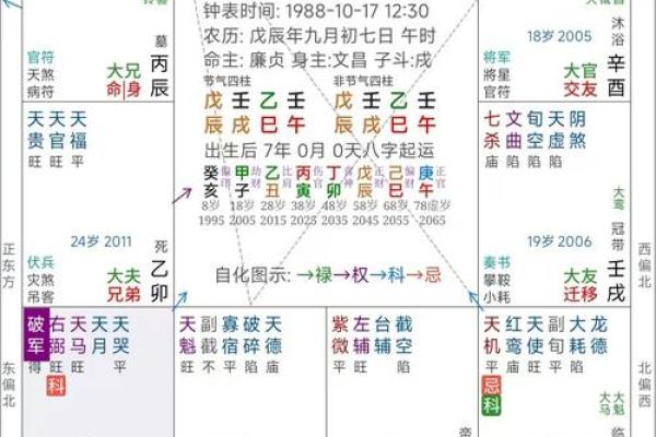 紫薇斗数大运命宫