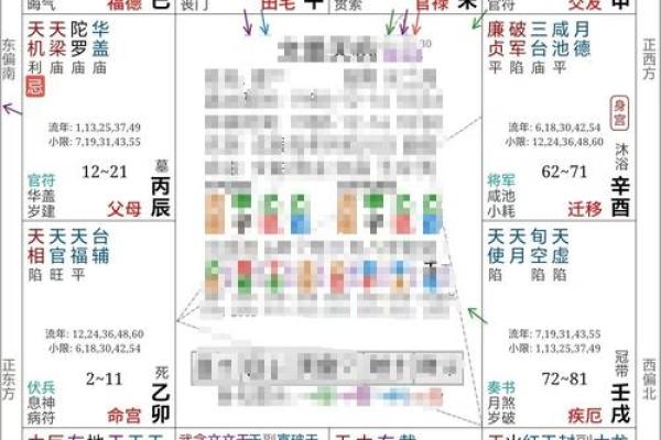 紫薇斗数大运命宫