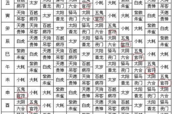 算命扎根是什么