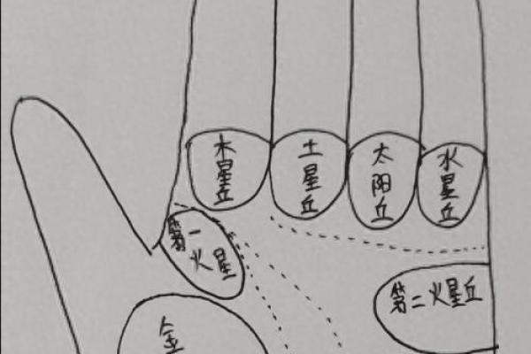 手相-掌丘算命图解