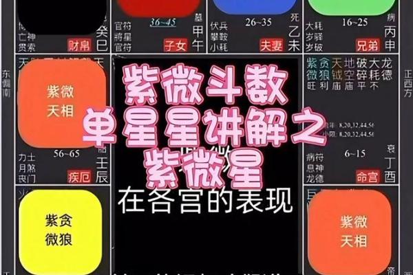 紫微斗数四煞星与六煞星的区别  紫微斗数煞星有哪些
