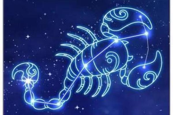 天蝎座最适合做生意的星座