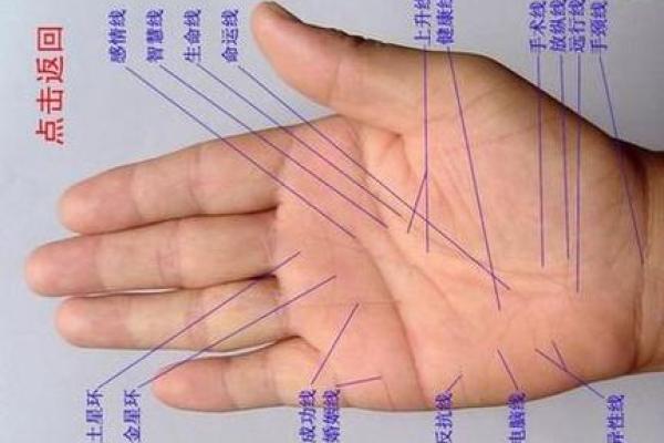 免费拍照看手相算命