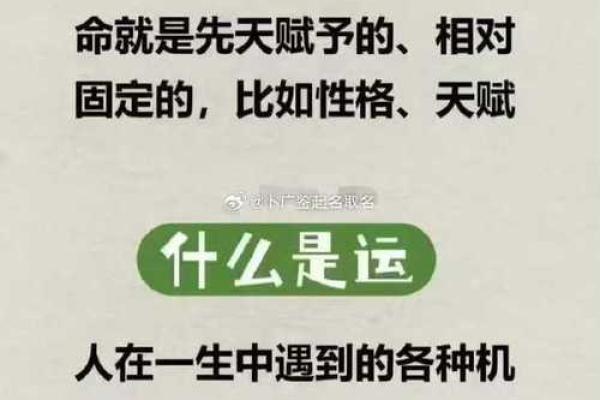 中年人的八字命运分析图
