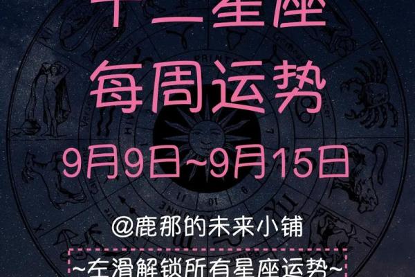 塔罗测试：未来五年运势