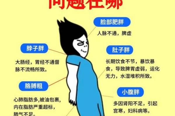 人胖与瘦八字命数组合揭秘