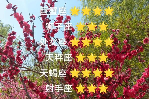 属羊的每个月星座运势如何