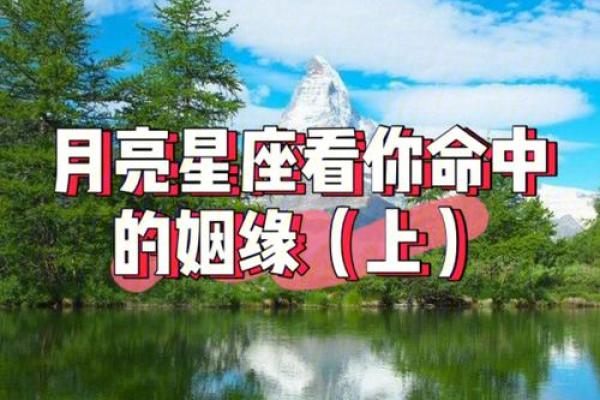 运势可以看月亮星座吗