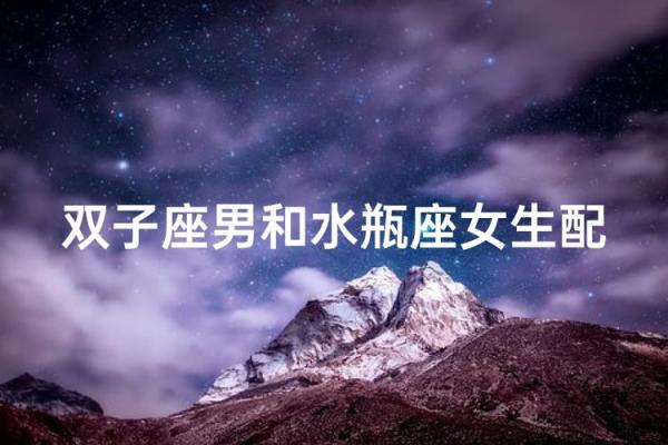 水瓶座跟双子星座配吗男生