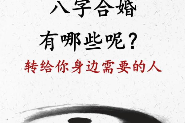 八字合盘