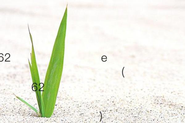 月老灵签姻缘签21到前