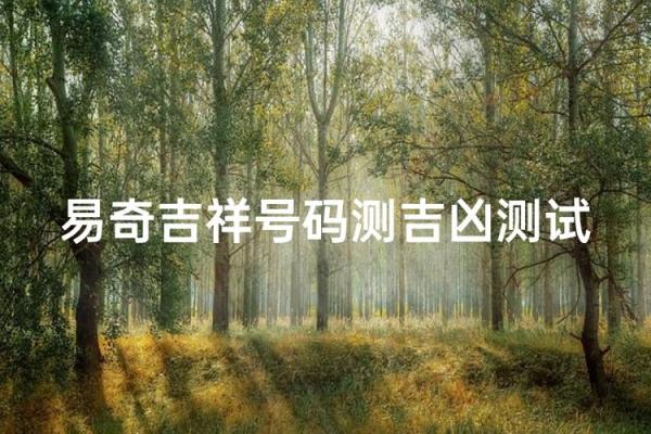 手机号码测吉凶易奇八字