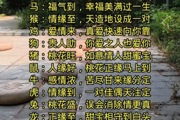 姓名配对测姻缘最准 姓名配对测试缘分免费？