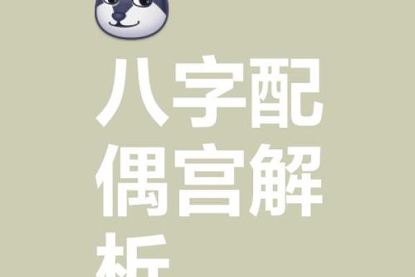 女命八字夫宫在哪