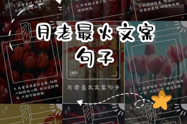 月老姻缘歌曲 月老姻缘的句子？