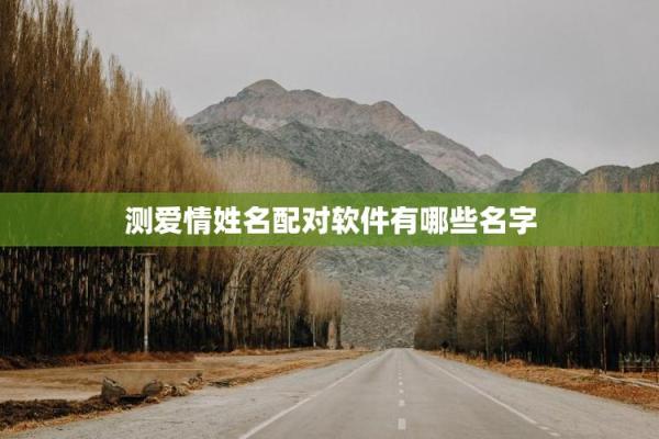 姓名配对测感情 姓名配对婚姻免费测试？
