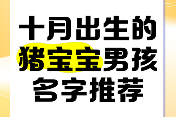 根据宝宝生辰八字起名，起名步骤，适合猪年男孩女孩的名字推荐