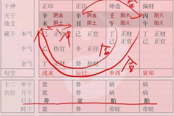 八字与疾病的关系，易生病的八字有哪些特征？_1