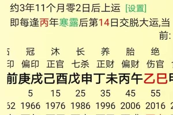 甲辰八字
