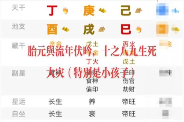 教你看胎元八字 如何看胎元八字