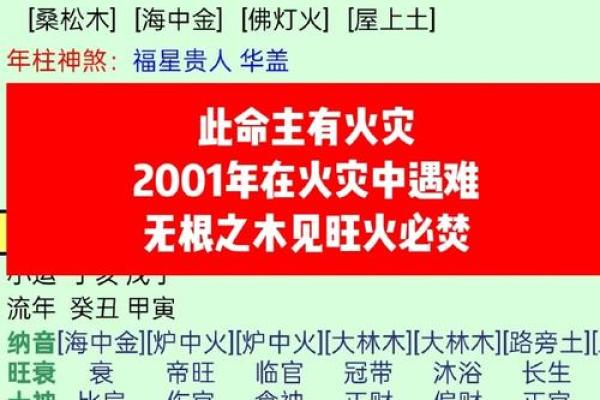 八字木少