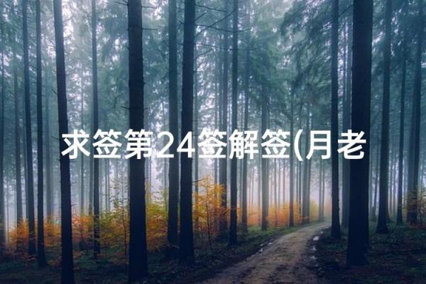 月老灵签图片大全解签
