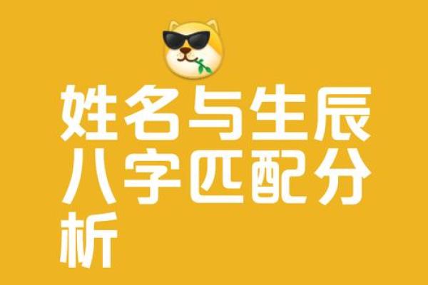 免费查询名字打分测试